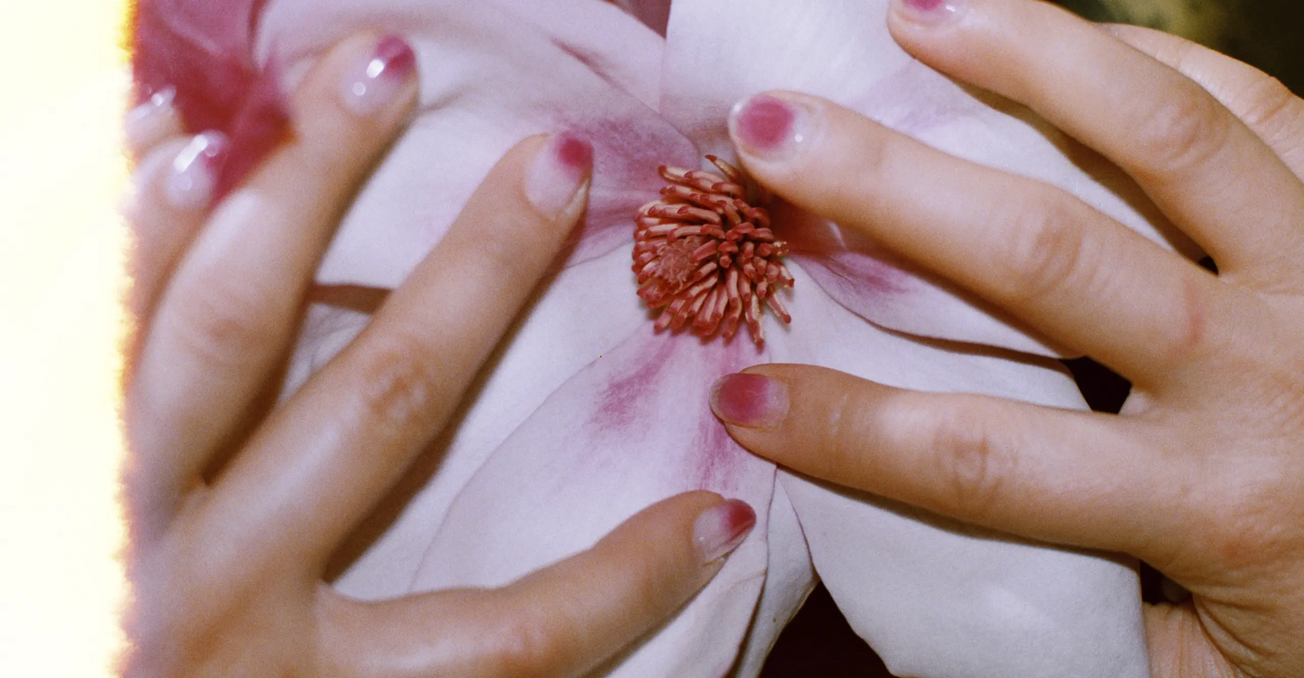 Book Launch, Talk & Signing, Lin Zhipeng (No. 223): La Liberté ou